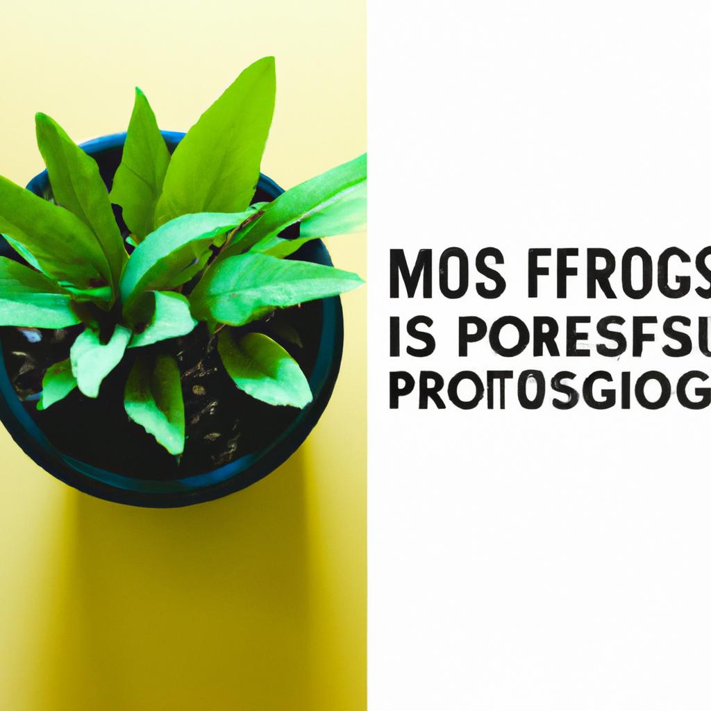 Cultivating a‍ Mindset of Progress: ​Shifting Focus from Goals to Growth