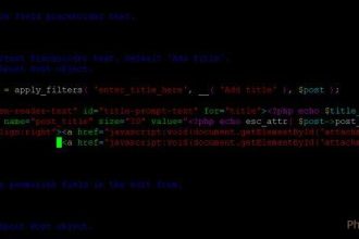 Uniting Power: Overcoming Boundaries One Push-Up at a Time