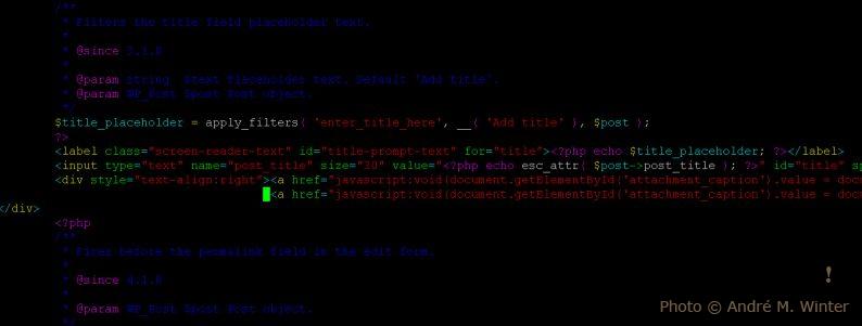 Uniting Power: Overcoming Boundaries One Push-Up at a Time