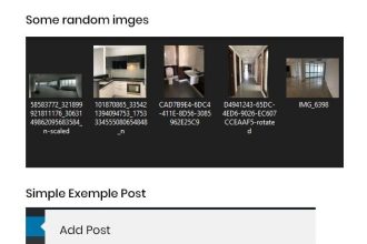 Embrace Each Small Victory: The Pathway to Significant Change Awaits