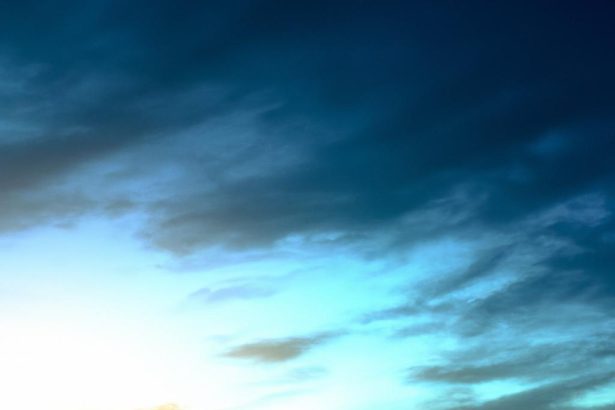 Embrace the Journey: How Small Victories Spark Transformative Change