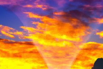 Seize the Day: Embracing Day by day Alternatives for a More healthy You