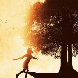 Cultivating Resilience: Embracing Change and Growth Thru Movement