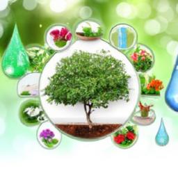 Simple Habits to Cultivate a Healthier lifestyle Every Day