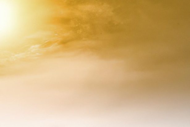 Embrace the Journey: How Small Victories Spark Significant Change