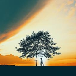 Cultivating Resilience Through Shared Experiences