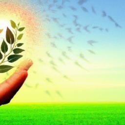 Cultivating a Positive Mindset for ⁢Enduring Health and Wellness