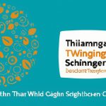 Embracing Small Wins: The Path to Transformative Change Collectively